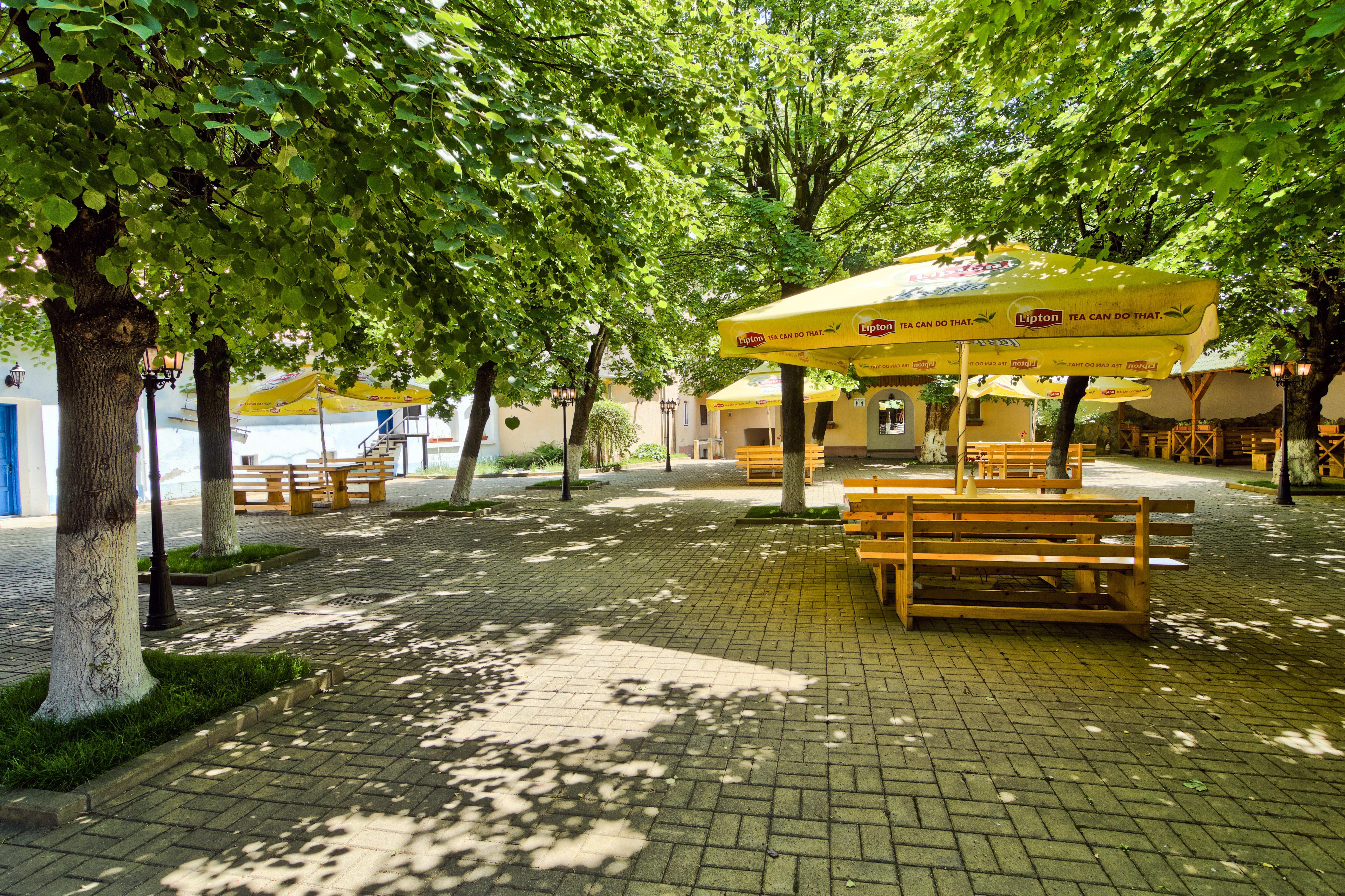 Mediaş Hotel Traube מראה חיצוני תמונה