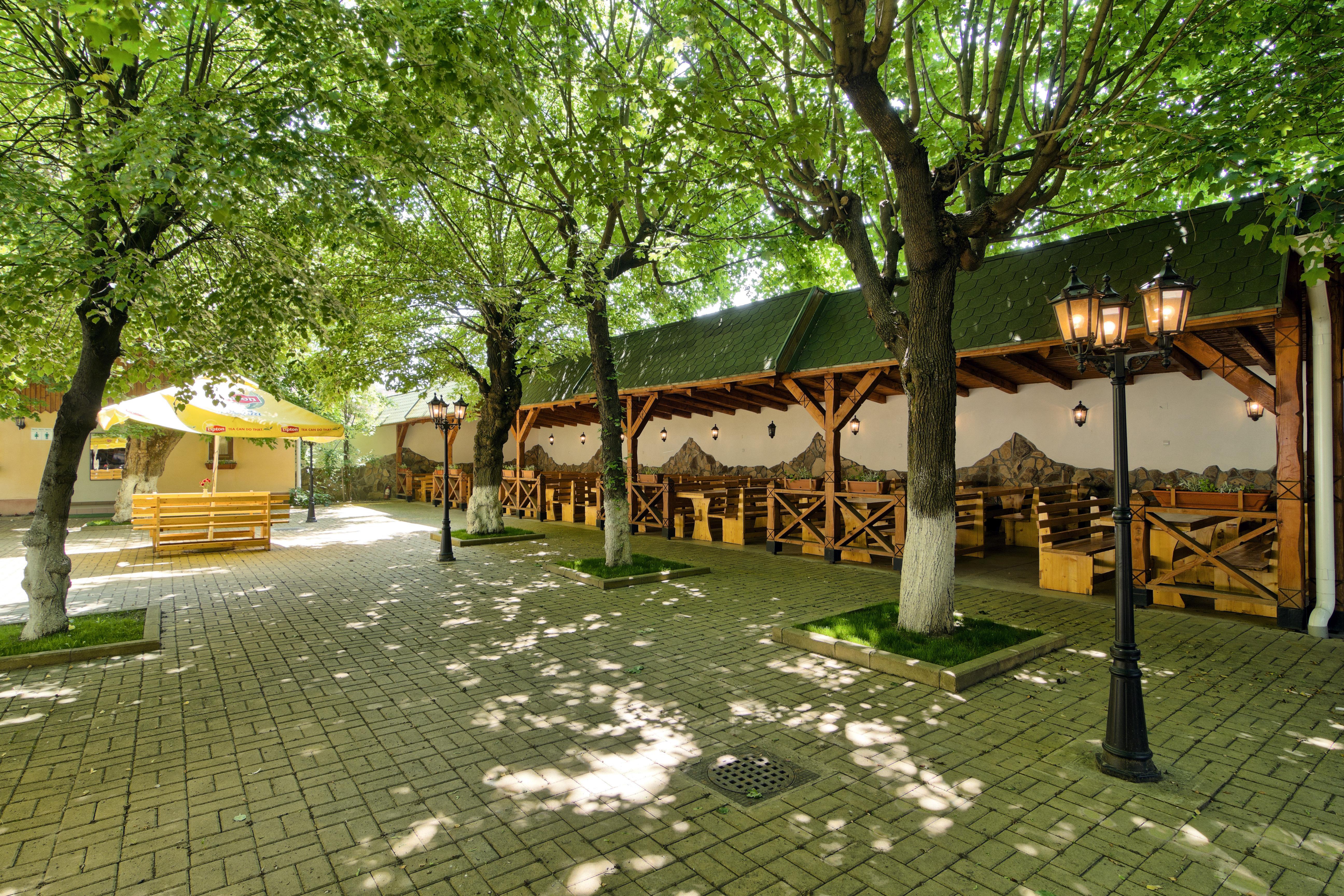 Mediaş Hotel Traube מראה חיצוני תמונה